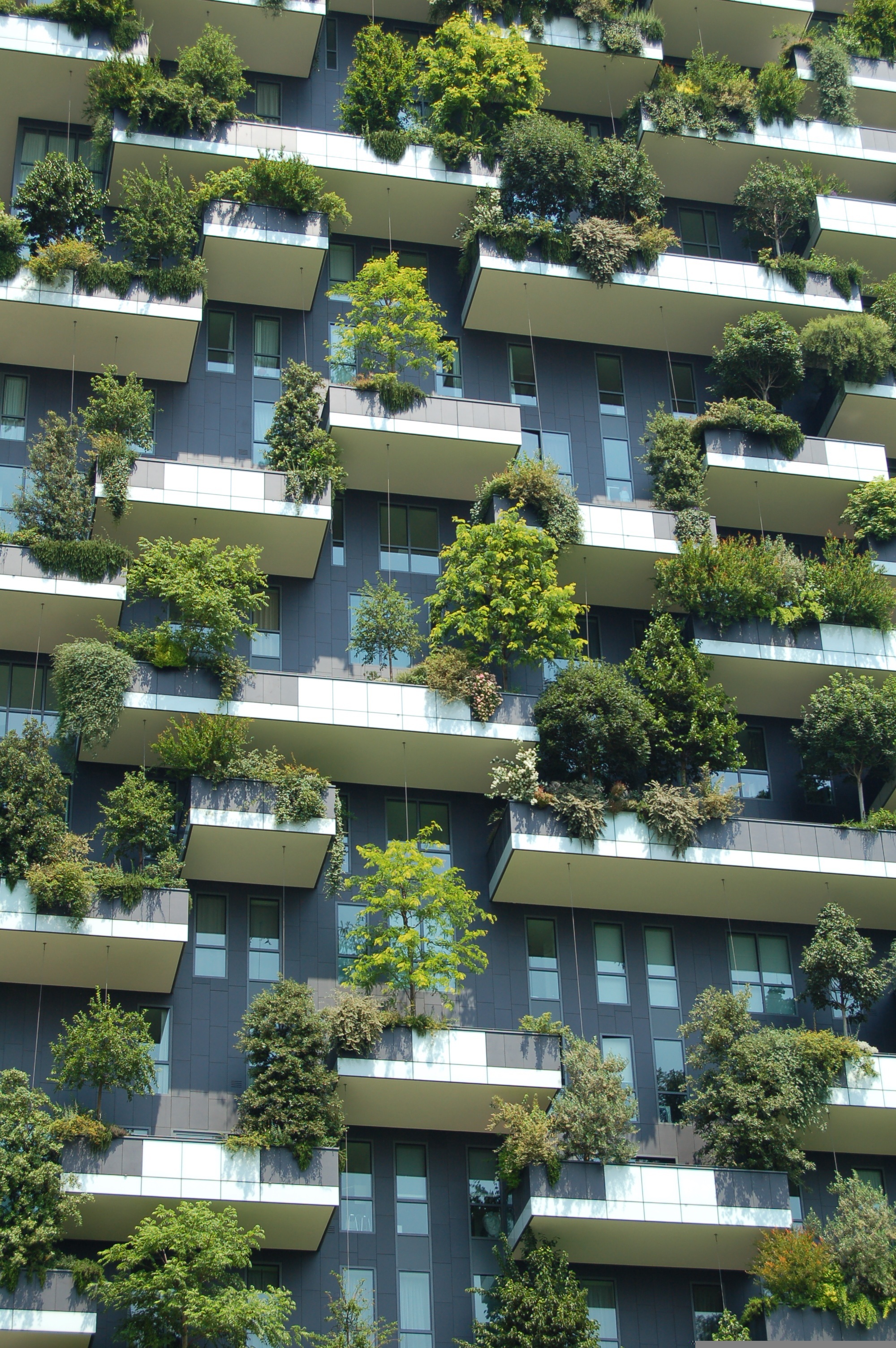 A sustainably constructed building.